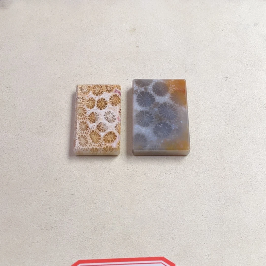 【闪购商品】未镶嵌吊坠(赠链)硅化玉顾****?