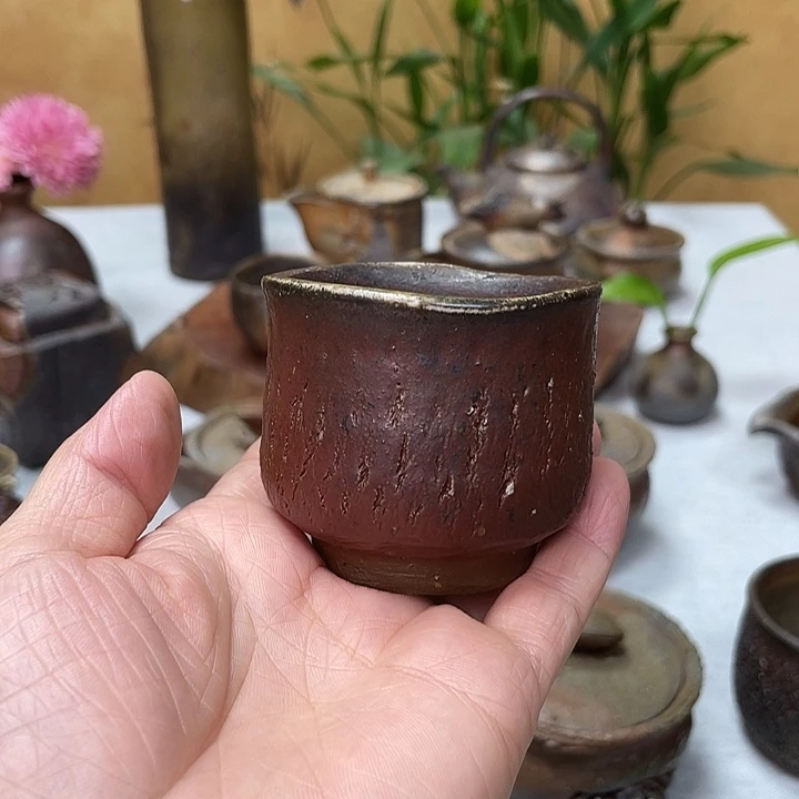 岩本修一的主人杯