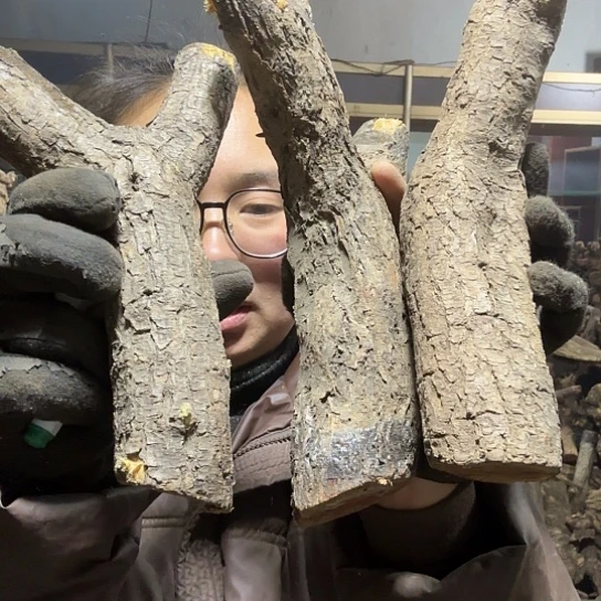 香榧木优***o火琉璃的毛料摆件