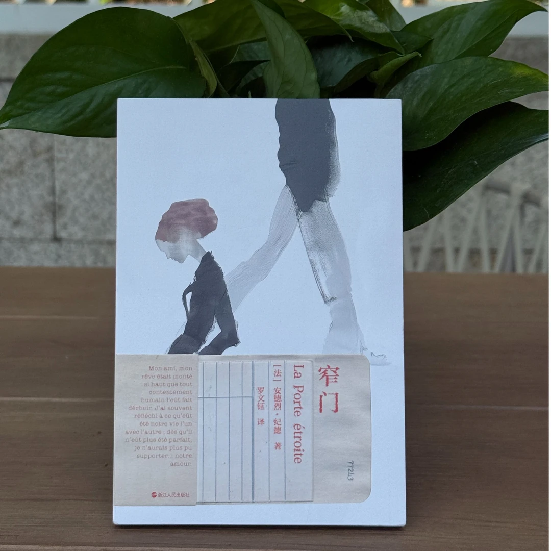 《窄门》-现当代文学安德烈·纪德著磨铁经典第7辑