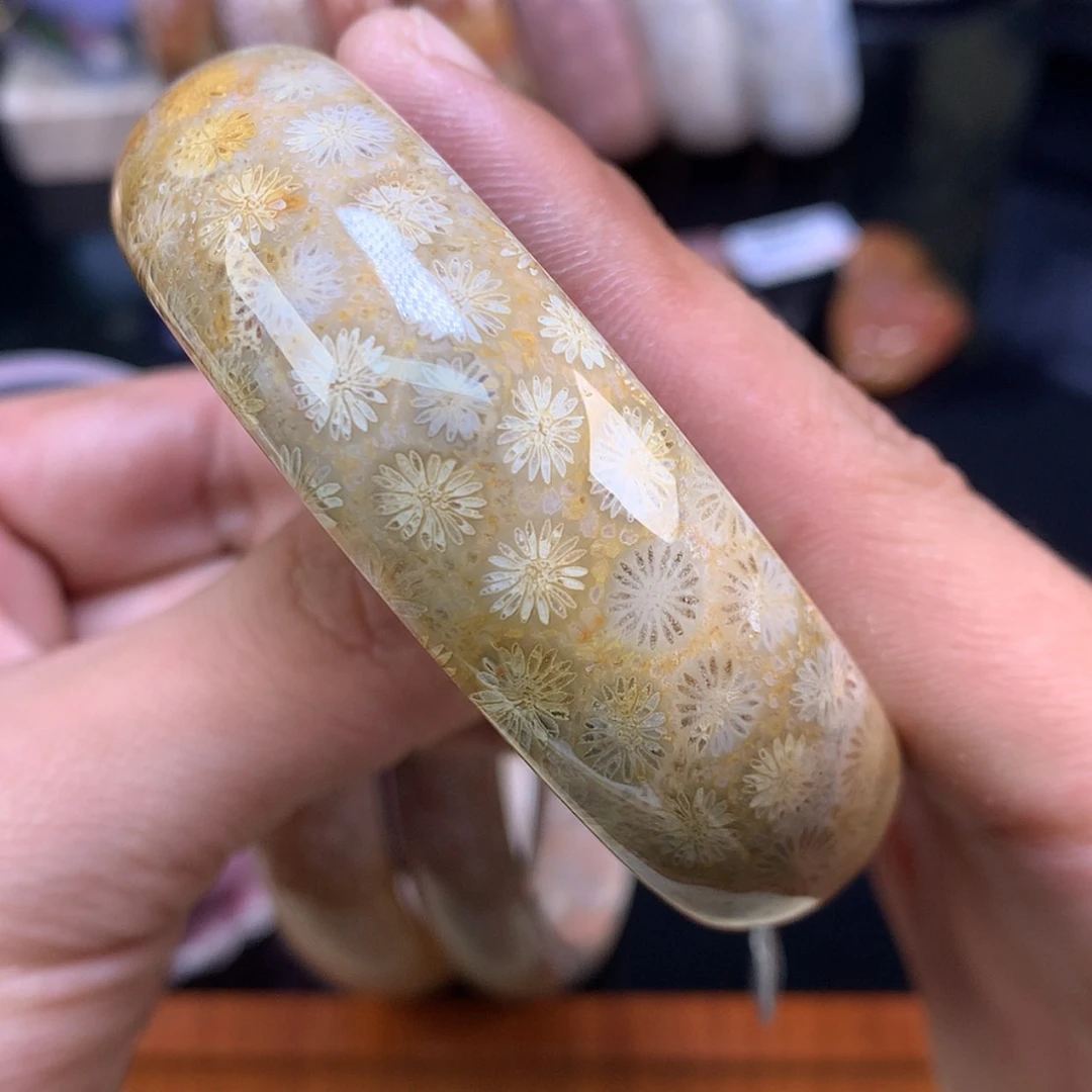 【闪购商品】颈饰未镶嵌硅化珊瑚（珊瑚玉）65号金皮雏菊57.4圈