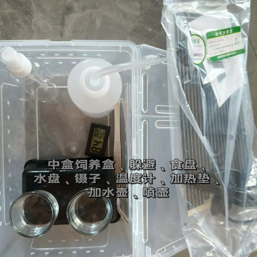 爬宠饲养套餐含守宫豹纹属宠物蛇新手必备用品透气盒子守宫饲养箱