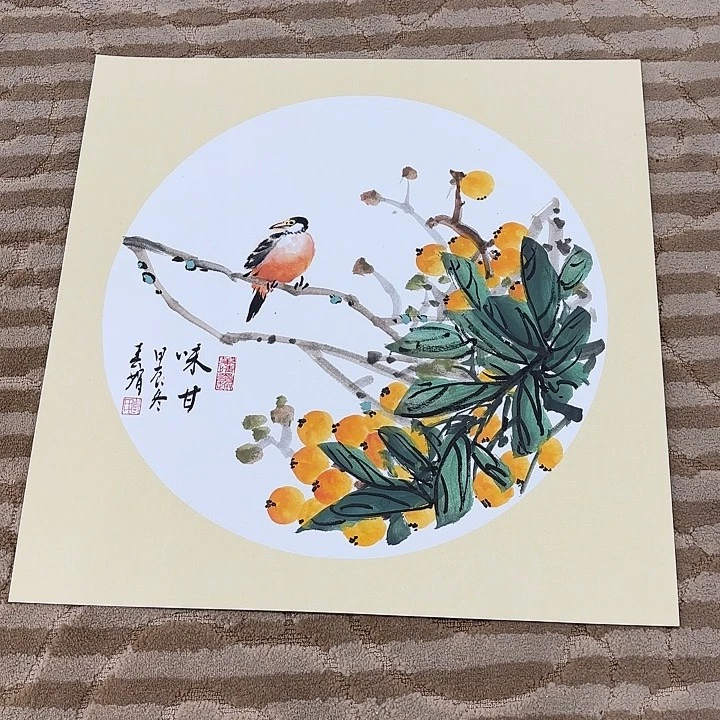 国画花鸟的翅膀和翅膀50.50