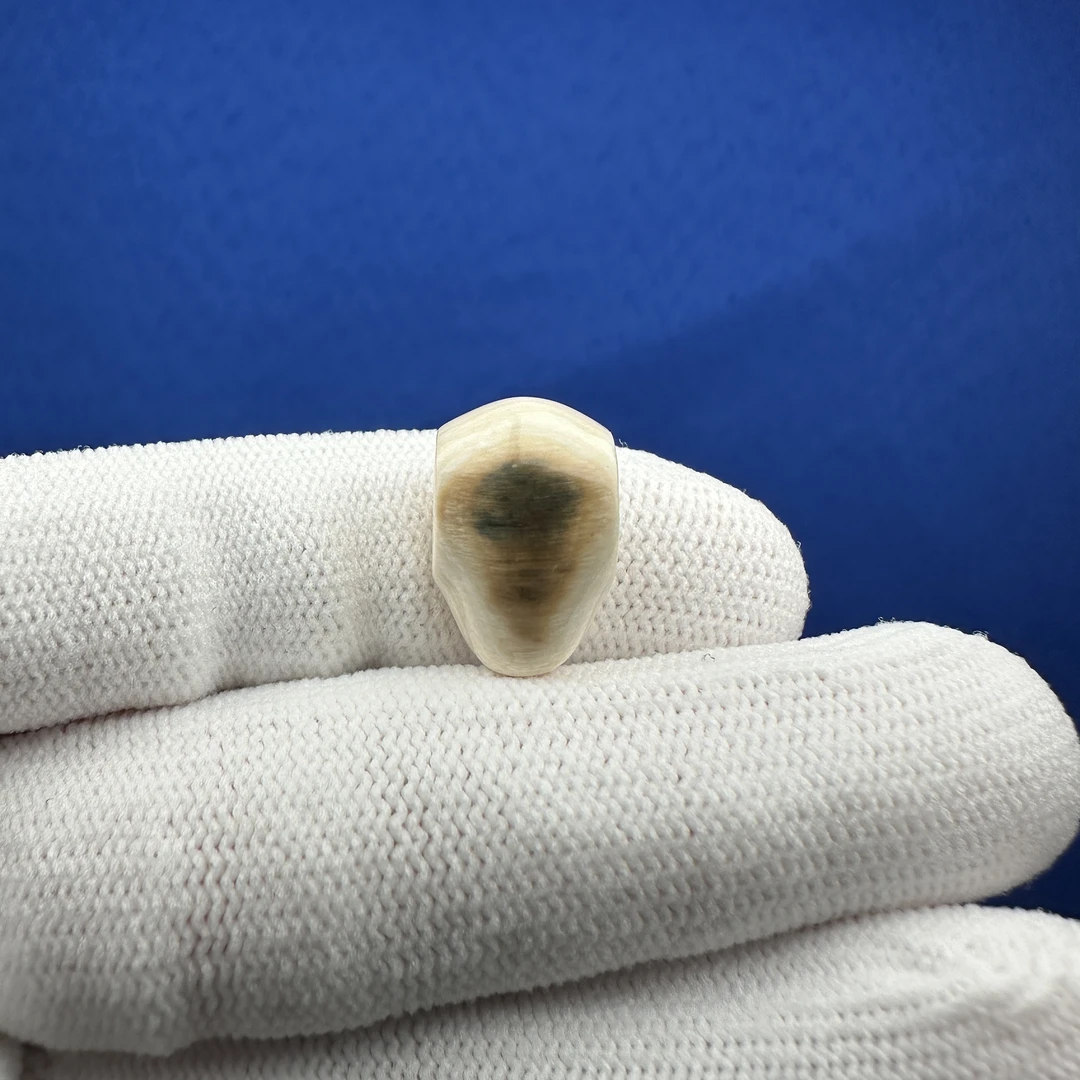 G1488天然猛犸 带皮鲨鱼背三通10.8*16.8mm一物一图 假一罚十