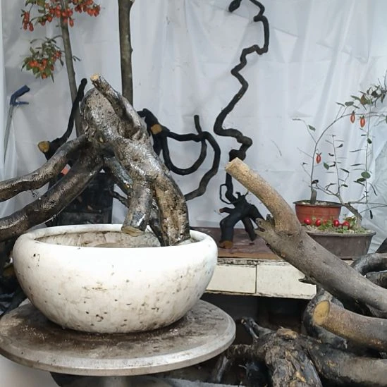 你***痛无花朵一个一个一个一个一个