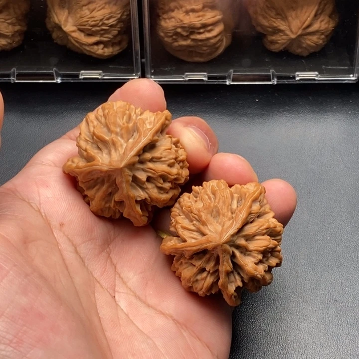 核桃42尺寸全品龙纹人奔三棱