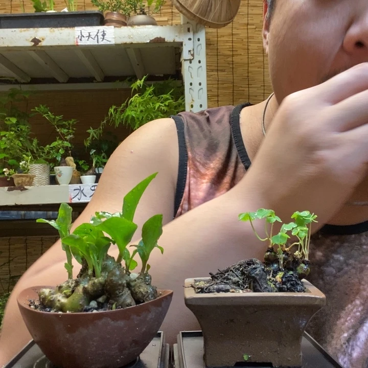 一物一拍所见即所得325