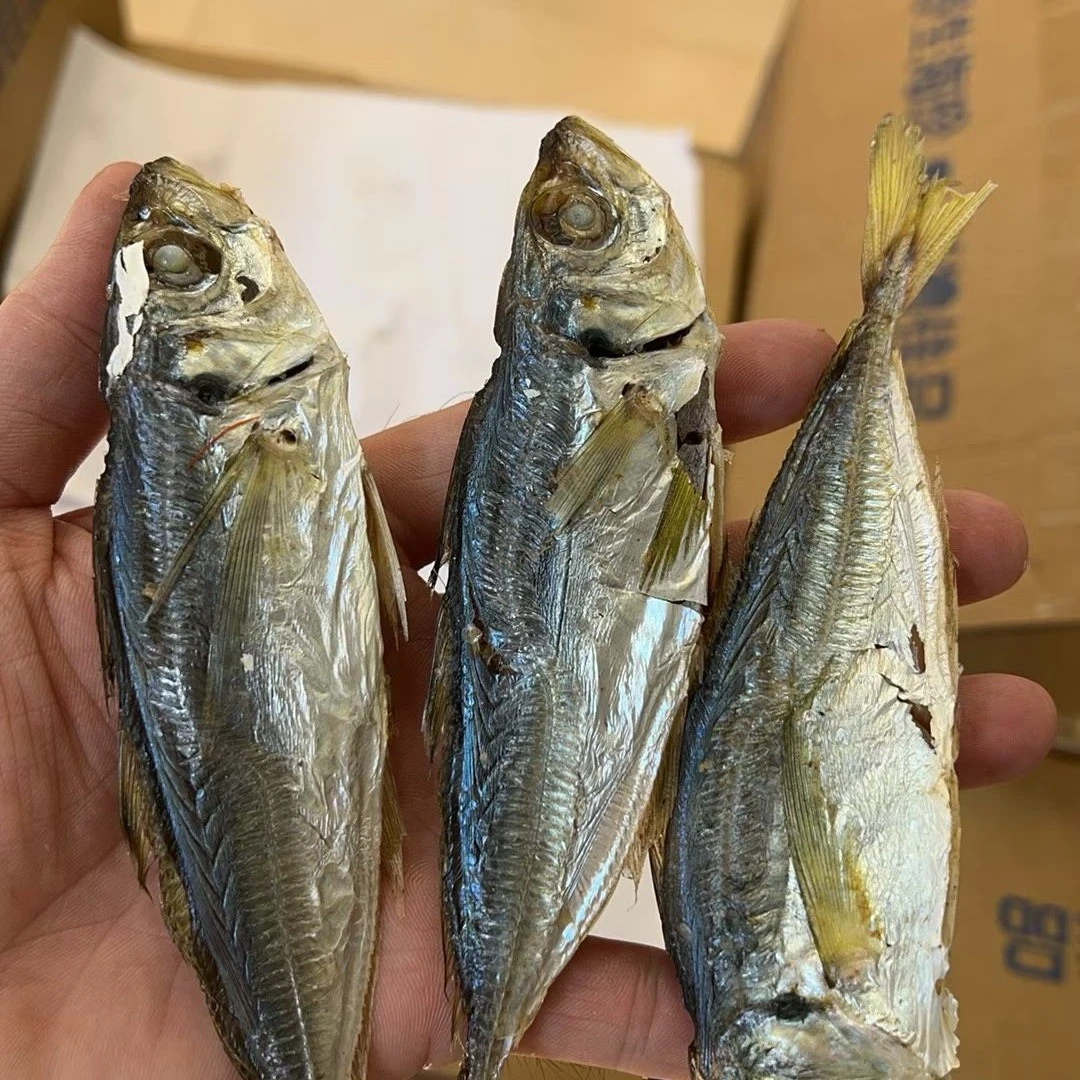 陆丰市本地黄尾巴浪鱼干干鱼海鱼新鲜晒制美味健康海鲜干货小鱼干