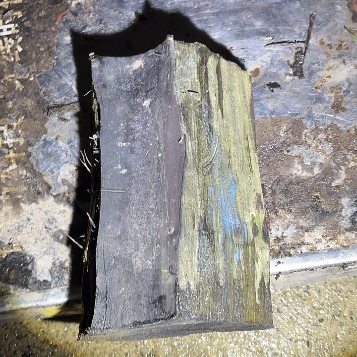 金丝楠啊啊啊啊啊啊