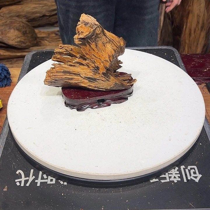 松木（琥珀木）猜***?