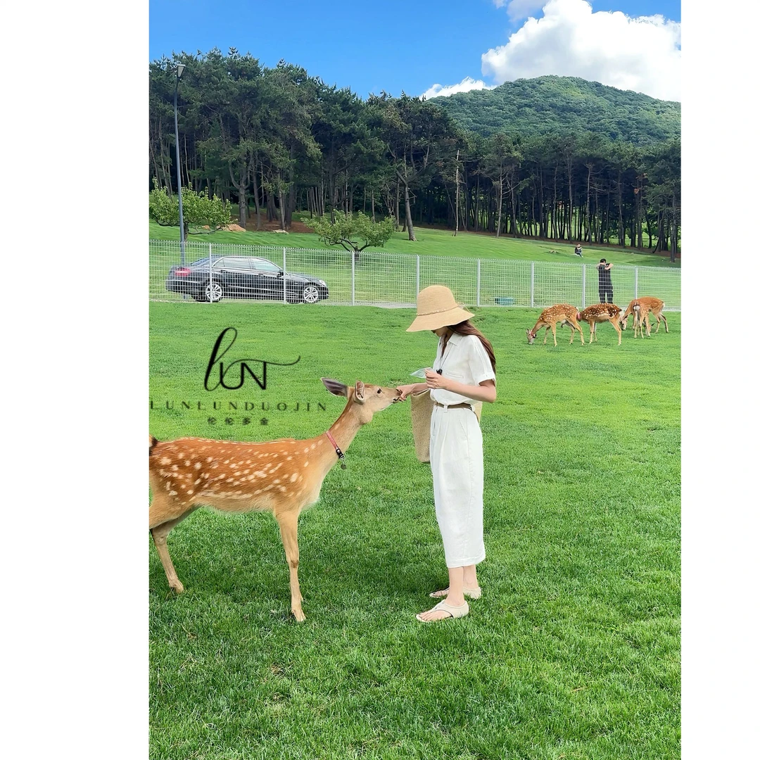 Lun/溪溪清风/25夏季新款防晒显瘦宽松老钱风亚麻连衣裙现货秒发
