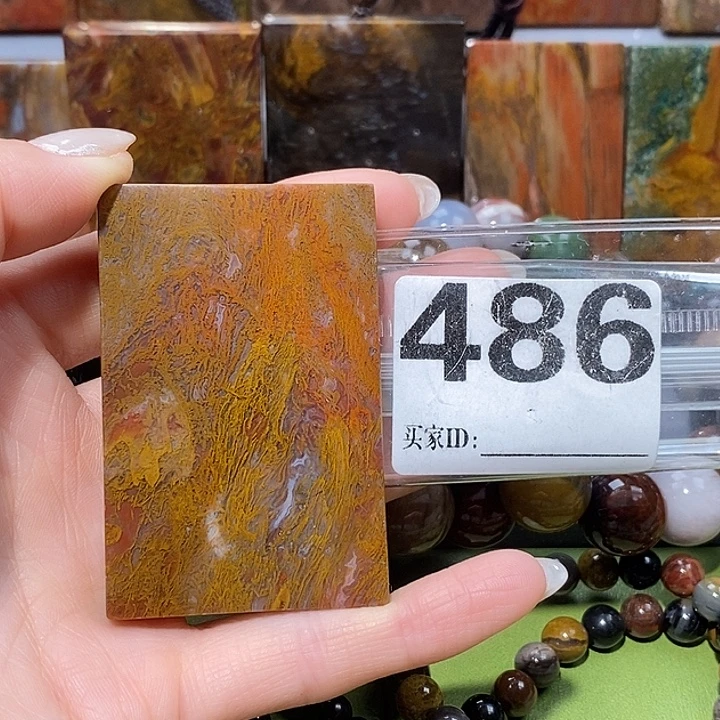 硅化玉未镶嵌天然北票树化玉吊坠