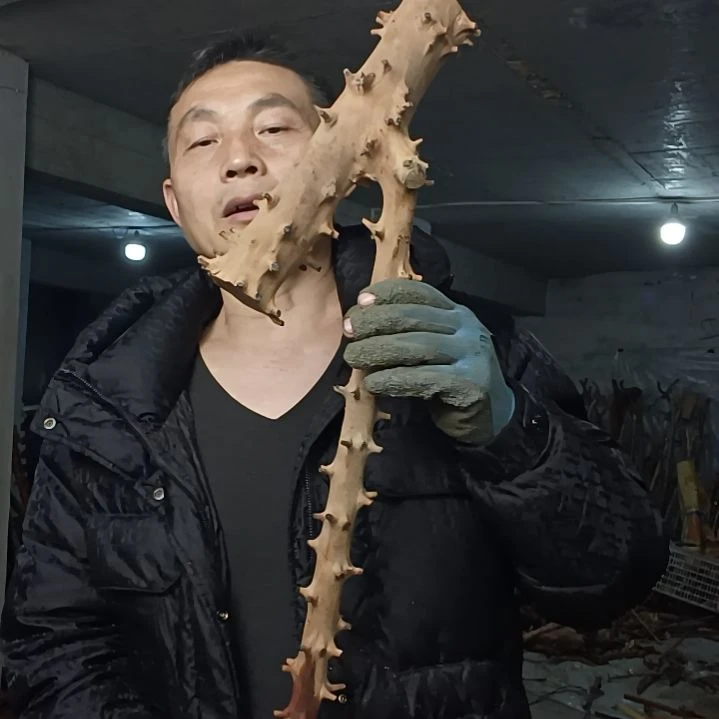 稳定木用****9贵州檬子木   铁马鞭   根艺  半成品