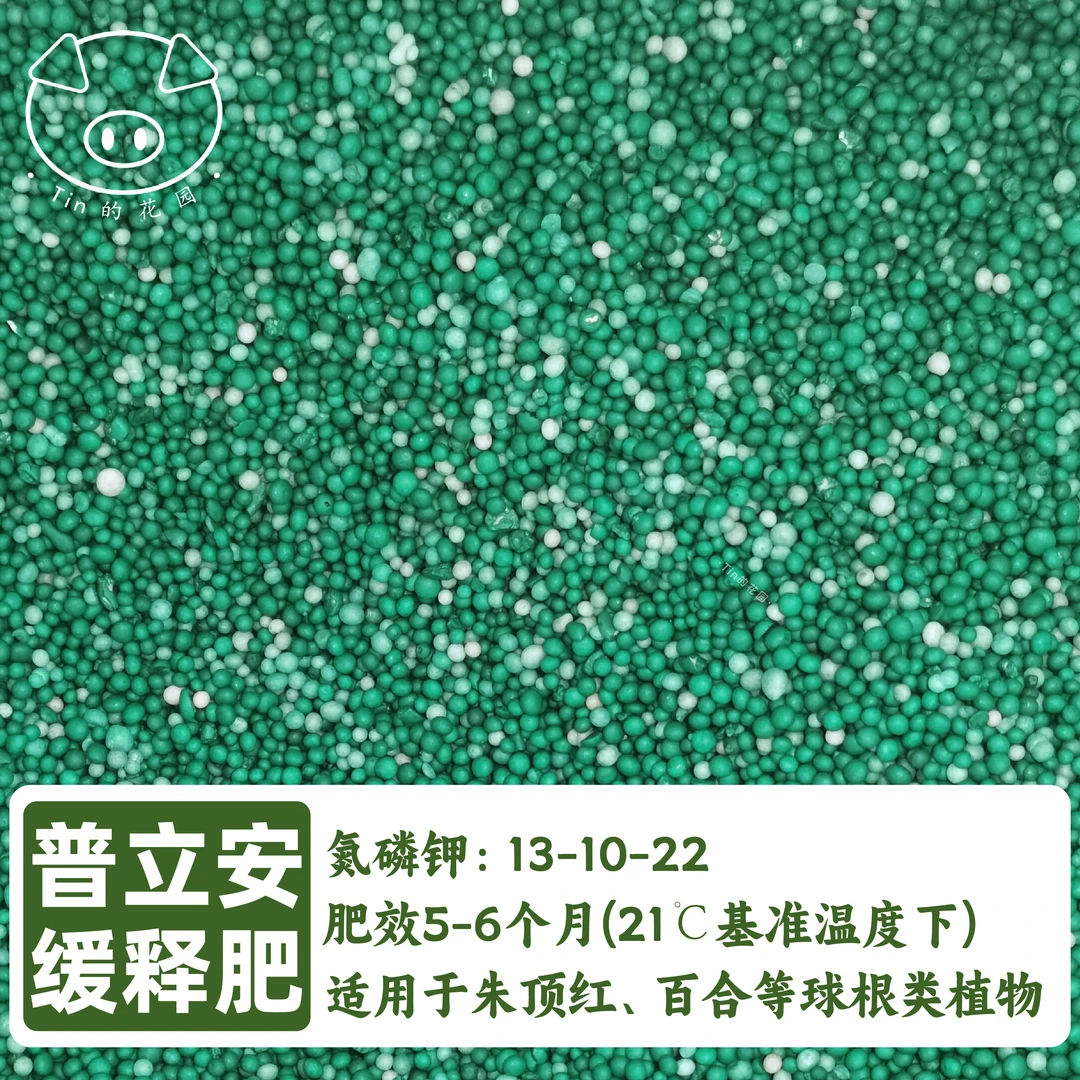 【普立安缓释肥】朱顶红专用进口缓释肥多肉球根植物果树盆栽通用肥
