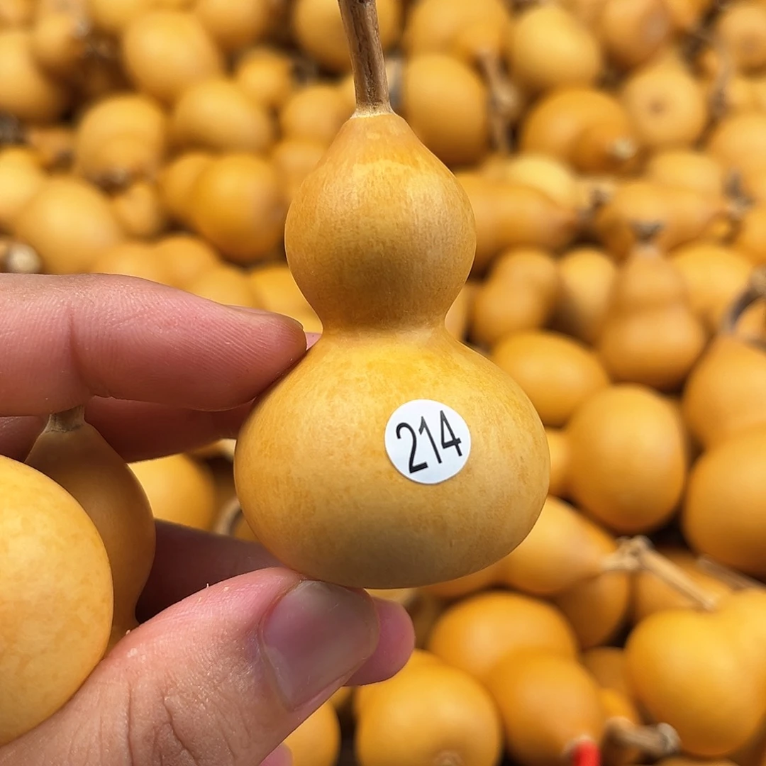 二葫芦葫芦葫芦葫芦214