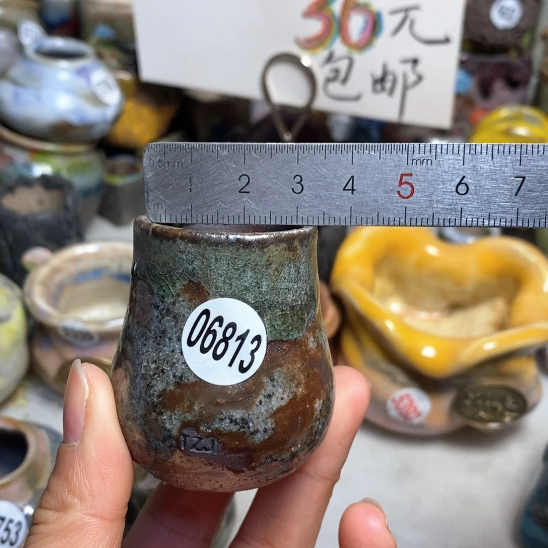 花盆拍5送一个小礼物