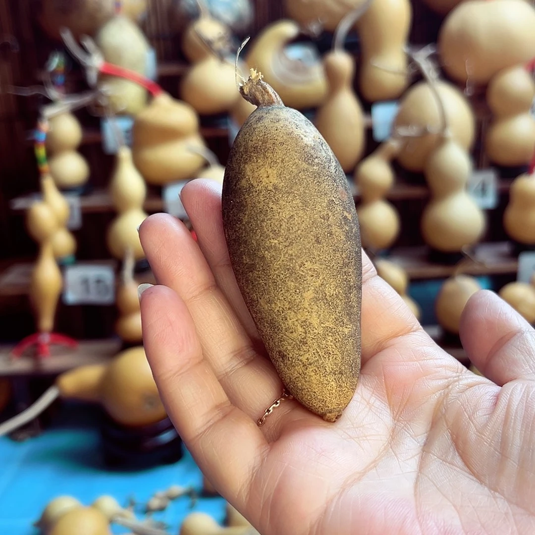 花皮小辣椒9.9米包邮