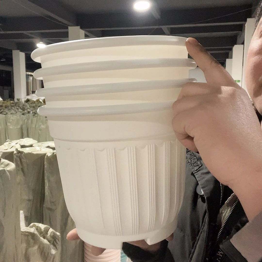 罗马240白色4个无托盘