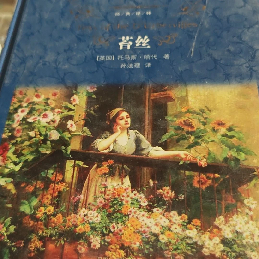 苔丝精装塑封没塑封介意勿拍