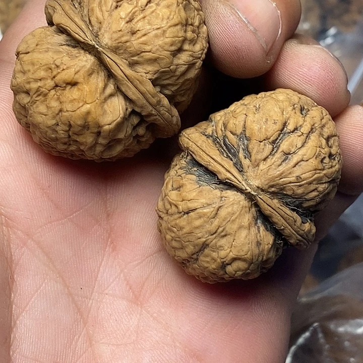 文玩核桃把件云南铁核桃33