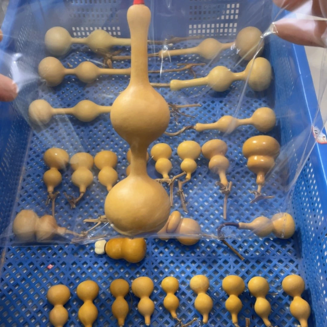 寅***熙三庭三庭三庭三庭三庭三庭