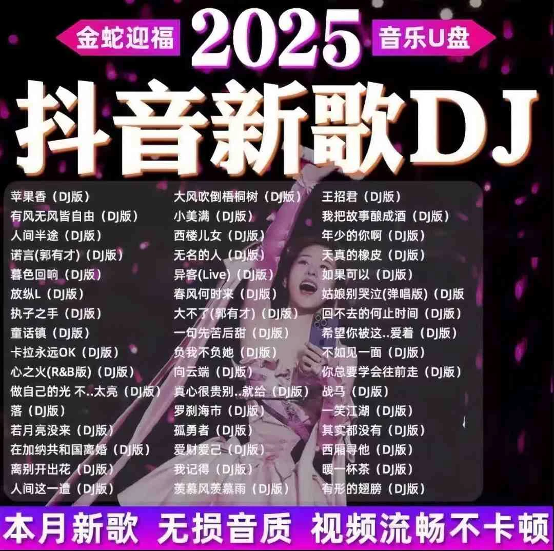 2025重低音DJ舞曲U盘超火抖音新歌中文热门dj劲爆嗨曲视频优盘MP4