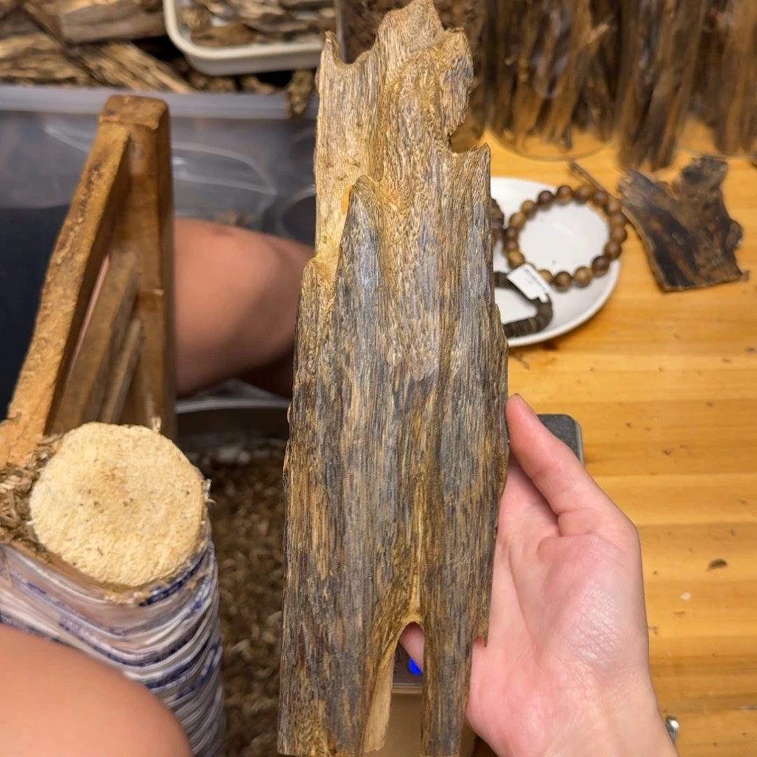 沉香碎屑沉香一代苗老料蓝宝石块料208克