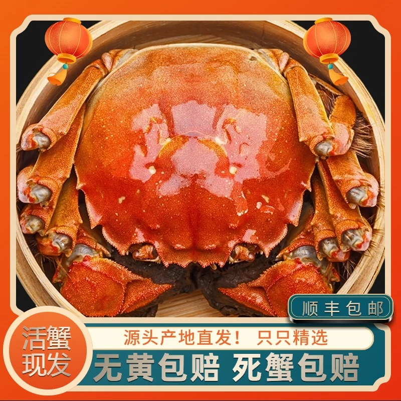 【活蟹现发】4.0-3.7两公蟹+3.0-2.7两母蟹8只送2只大闸蟹顺丰包邮