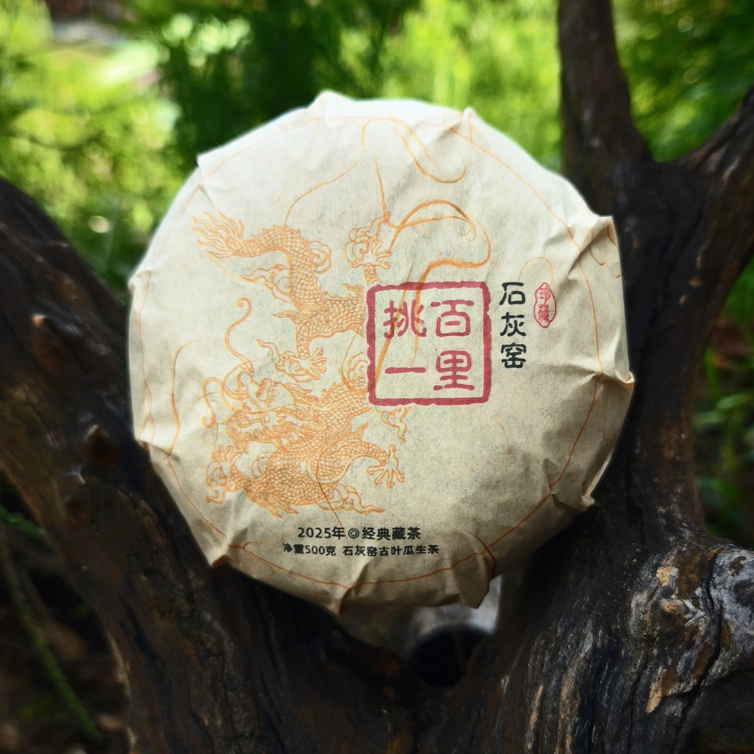 2025年石灰窑百里挑一古叶瓜（生茶）