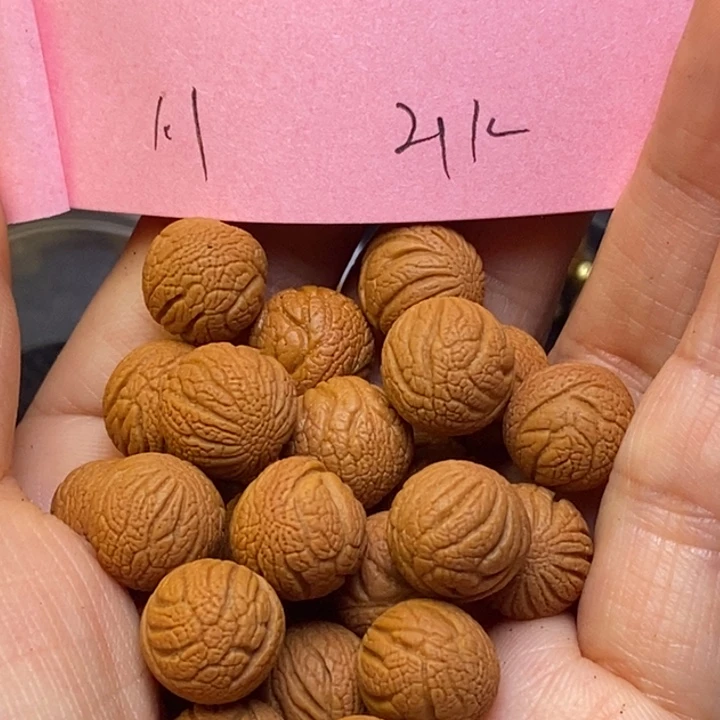 手串文玩核桃秦岭龙纹桃核11尺寸