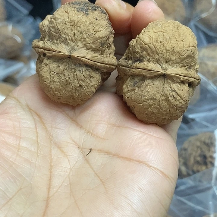 木质类云南铁核桃基地22