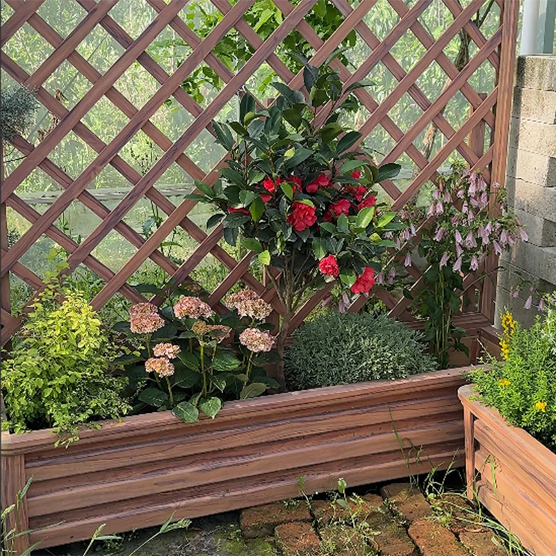 罗曼的花园 花箱花池花境组合盆栽苗绿植低维护好打理开花观叶