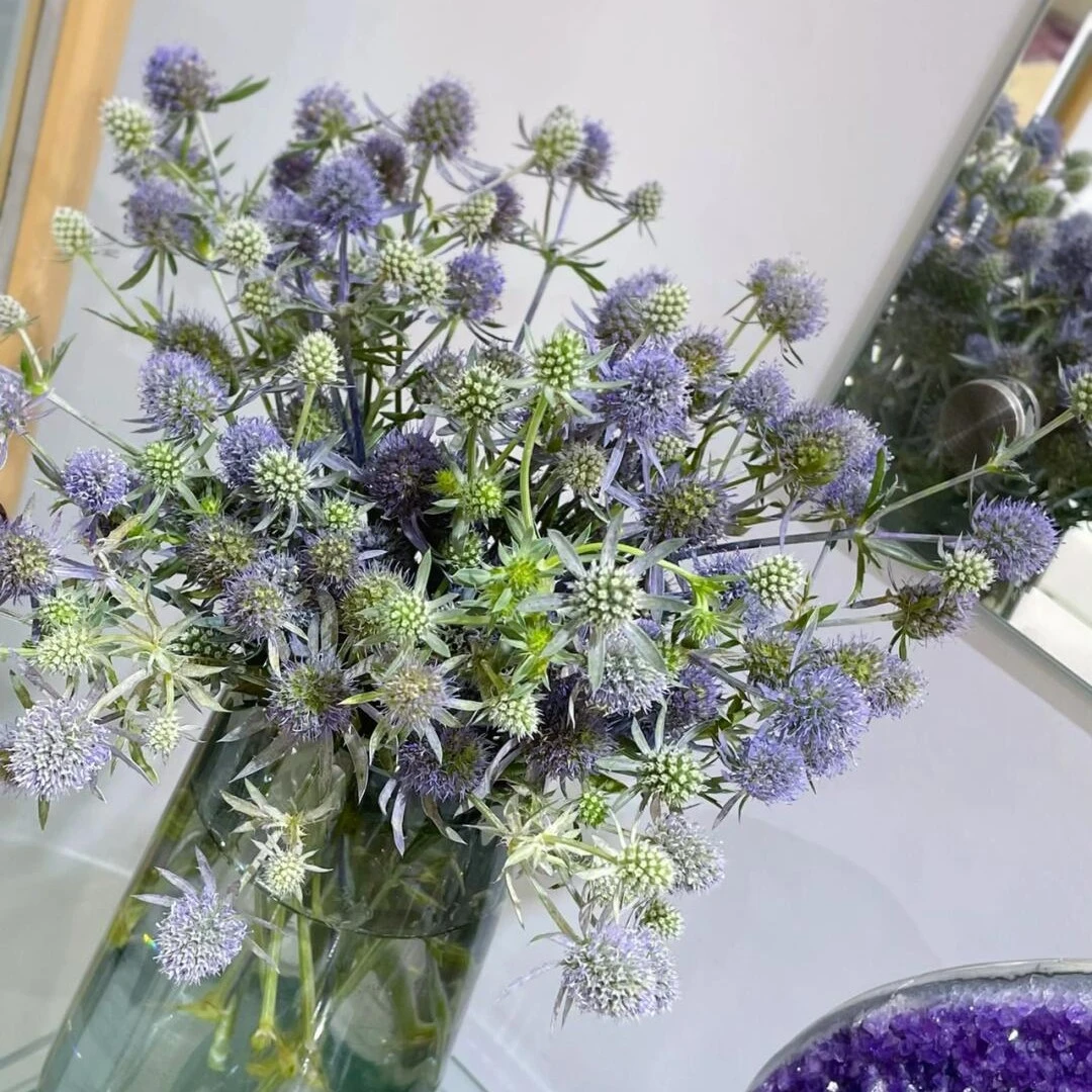 情人果一束，高端配花花材