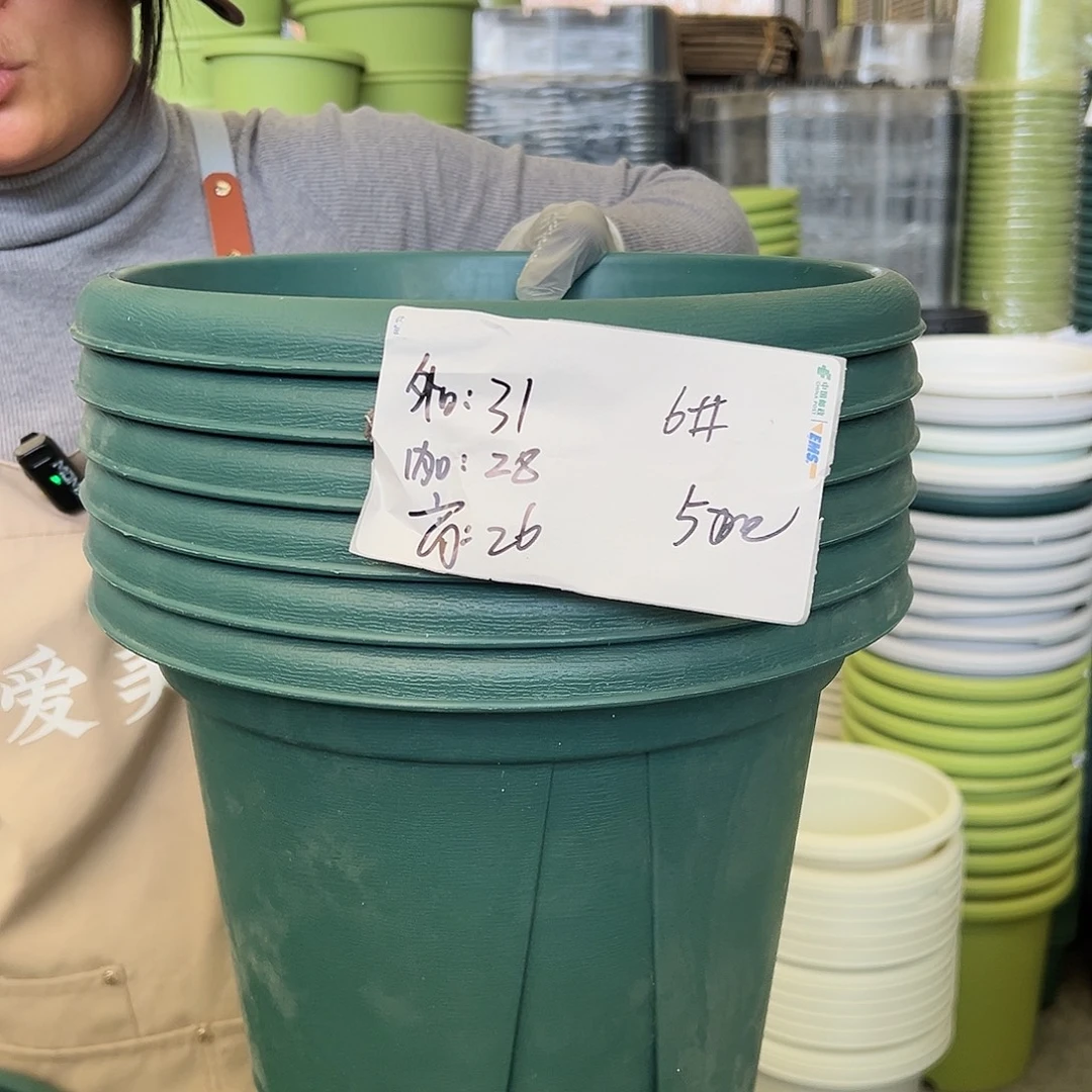 瑕疵青山盆6#墨绿色6个无托