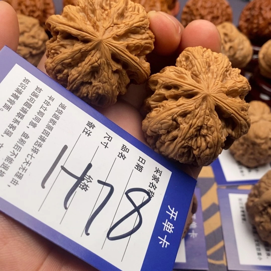文玩核桃把件46尺寸八筋聚顶大粗筋