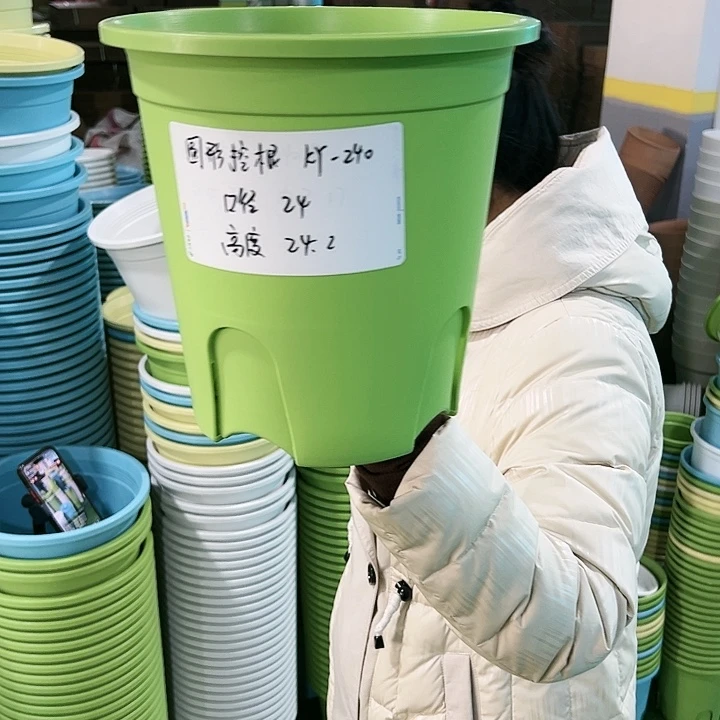 正品圆控口24高24果绿无托5只