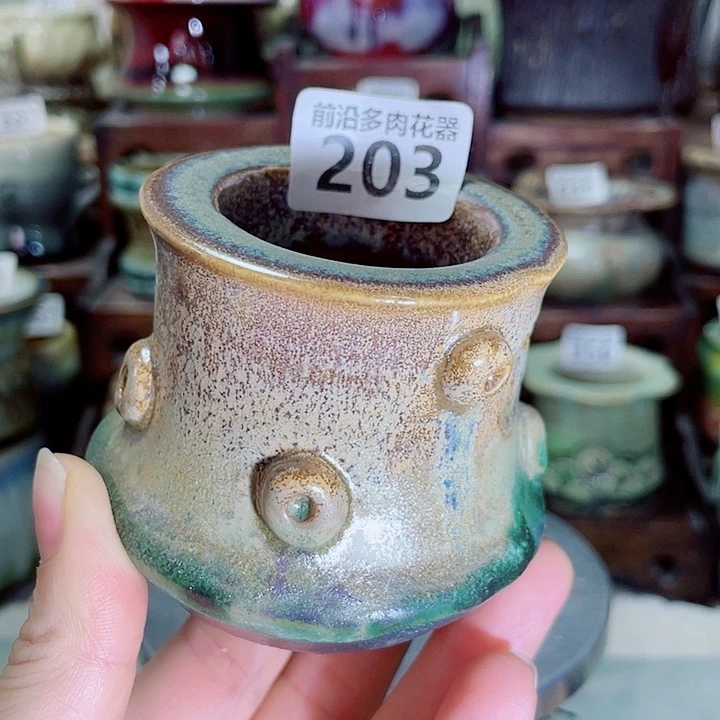 狼盆内口径4高度6