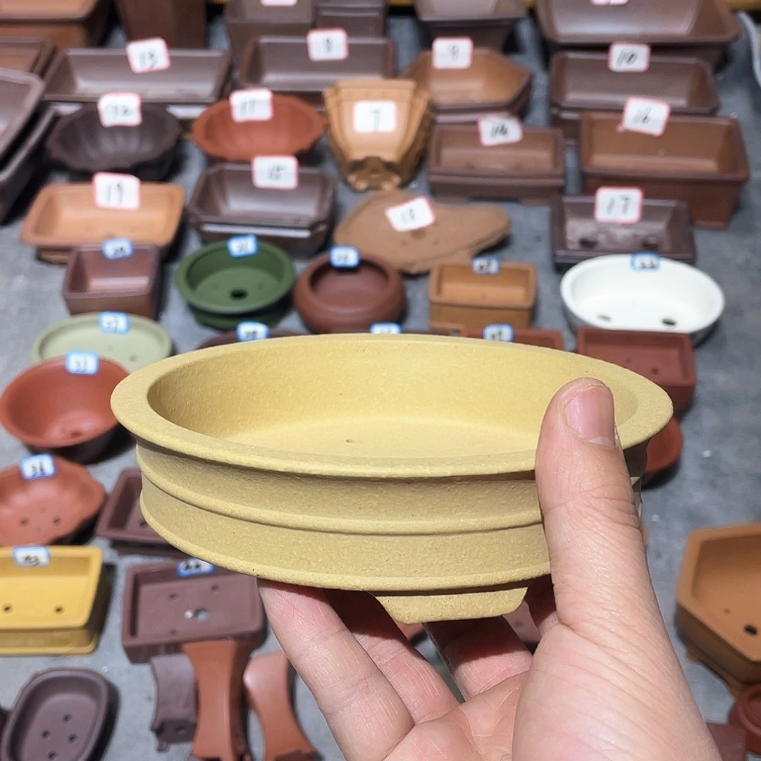 秦*紫砂小盆13*3cmmm