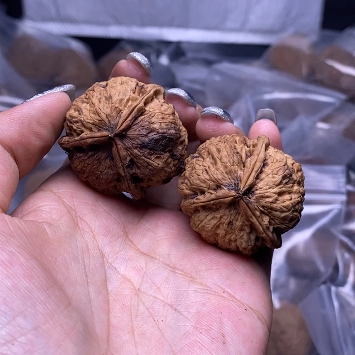 核桃云南野生铁核桃52号35mm