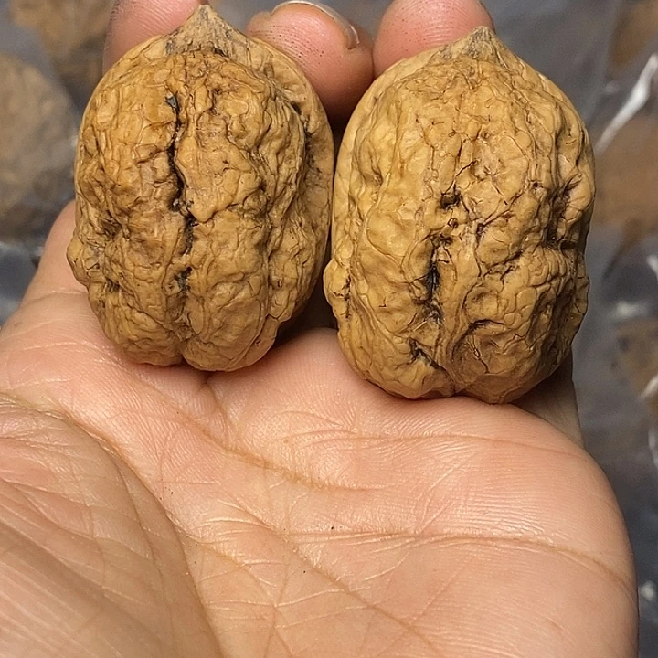 文玩核桃把件云南铁核桃81