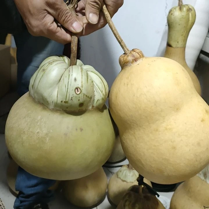 木***生藤家居摆件，葫芦摆件