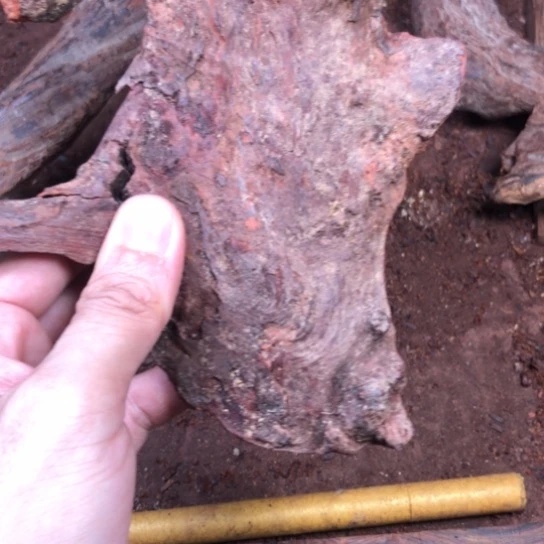 “***”黄花梨/降香黄檀原木料定制，不退不换