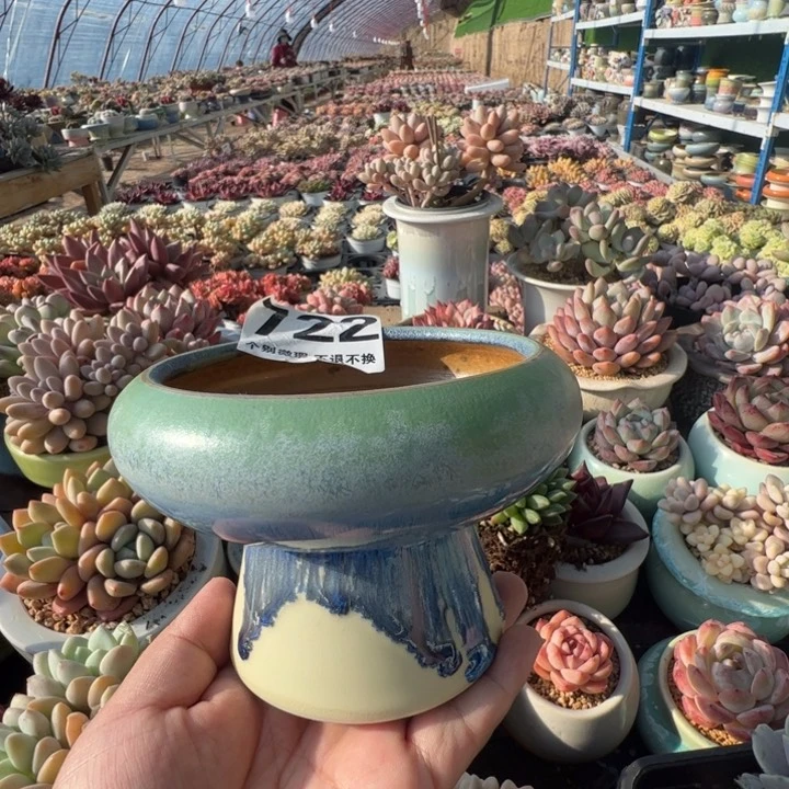 特价花盆满50发货内口10