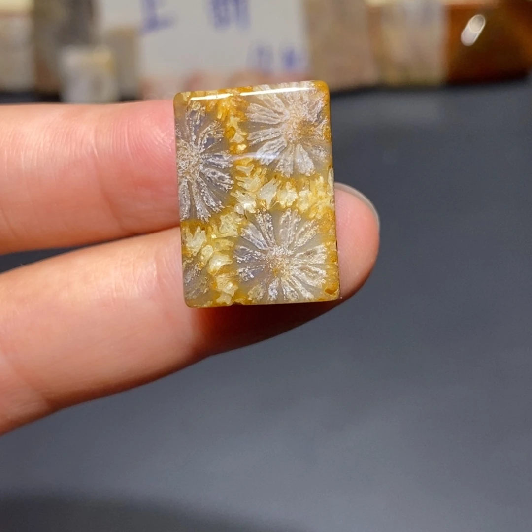【闪购商品】未镶嵌珊瑚玉硅化玉