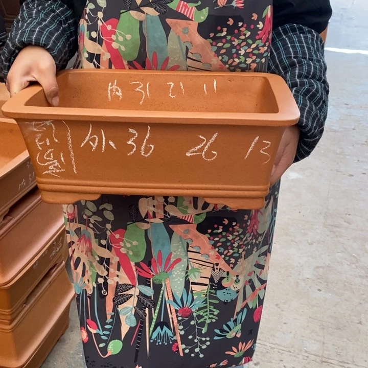 紫砂花盆只顾看手机的