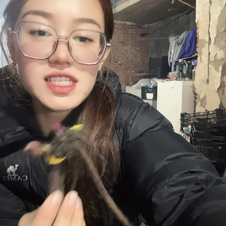 当前无花栽培后可以开花无****力