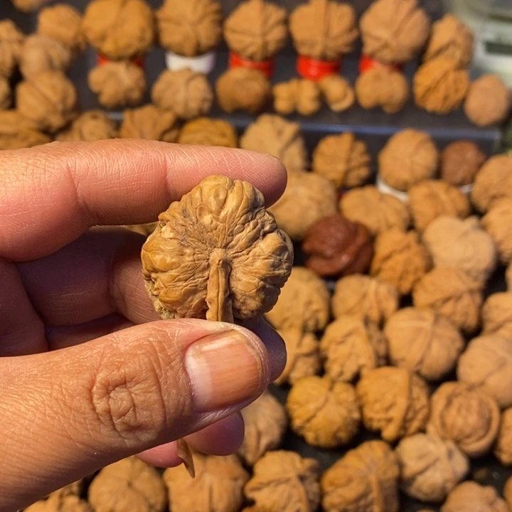 钱***龍大叶紫檀（黑酸枝木类）