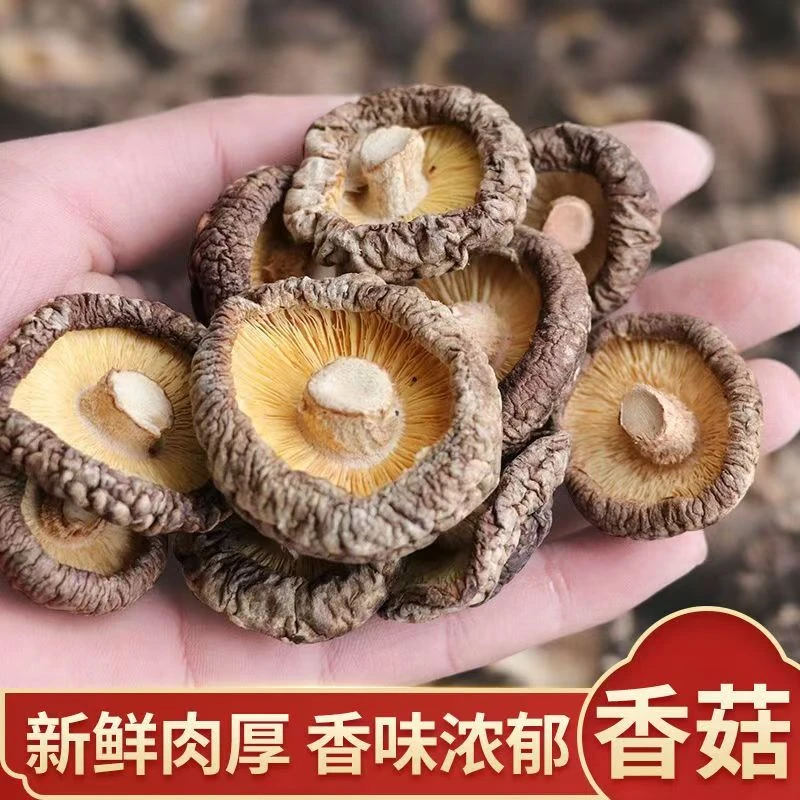 农家精选干香菇菌菇圆润厚实营养丰富适合煲汤