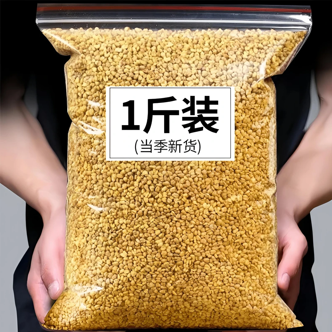 黄苦荞四川大凉山新货苦荞茶500g浓郁干吃泡水干净颗粒饱满