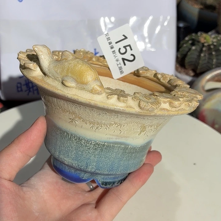 花盆花盆，八五折后价